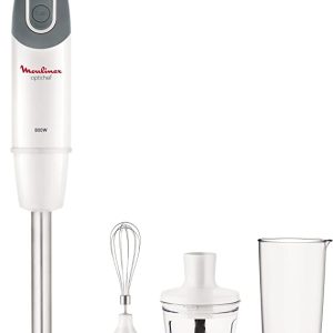 Moulinex Mixeur Plongeant 80cl 800 Watts DD642110 – Maizonia